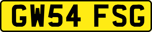GW54FSG