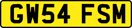 GW54FSM