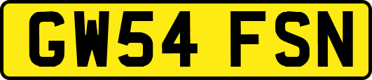 GW54FSN