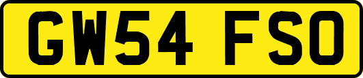 GW54FSO