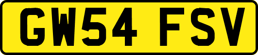GW54FSV