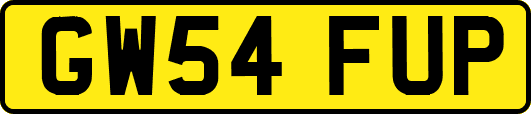 GW54FUP