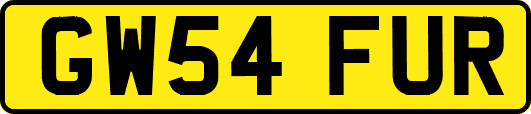 GW54FUR