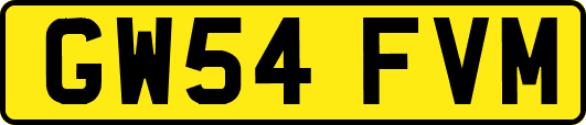 GW54FVM