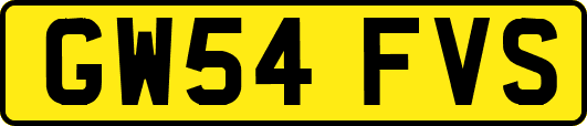 GW54FVS