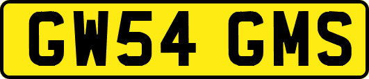 GW54GMS