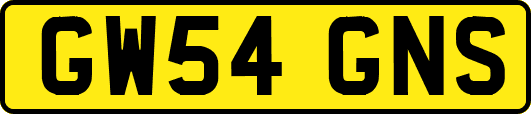GW54GNS