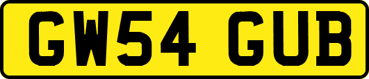 GW54GUB