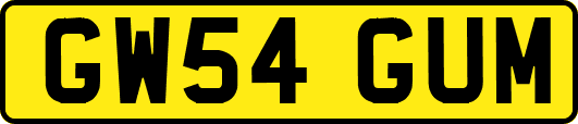 GW54GUM