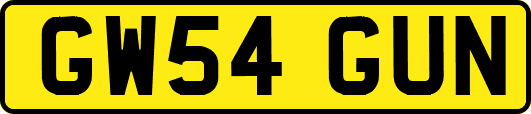 GW54GUN
