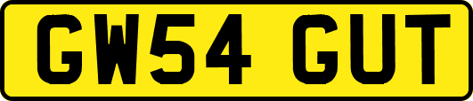 GW54GUT