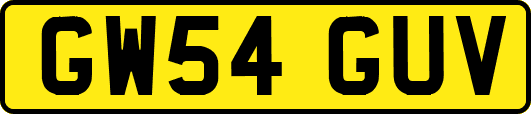 GW54GUV