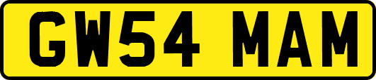 GW54MAM