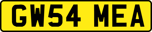 GW54MEA