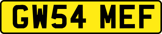 GW54MEF