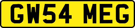GW54MEG