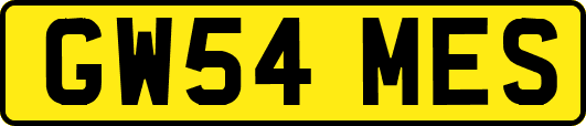 GW54MES