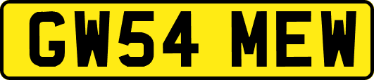 GW54MEW