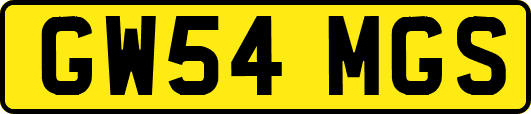 GW54MGS