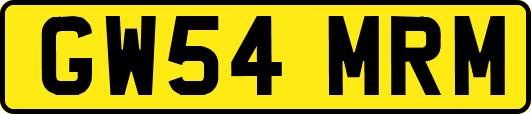 GW54MRM