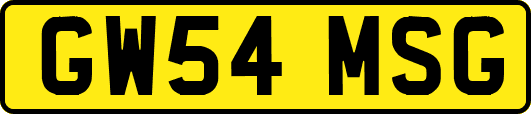 GW54MSG