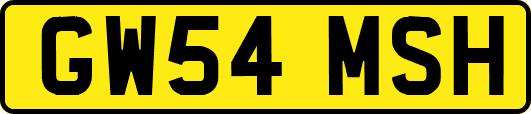 GW54MSH