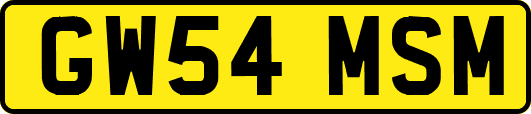 GW54MSM