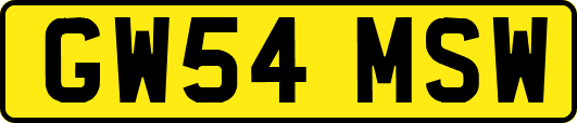 GW54MSW