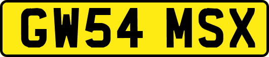 GW54MSX