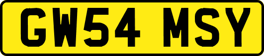 GW54MSY