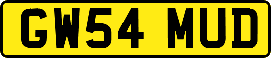 GW54MUD
