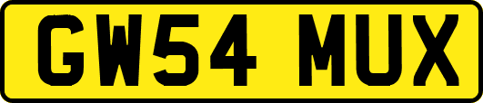 GW54MUX