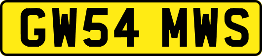 GW54MWS