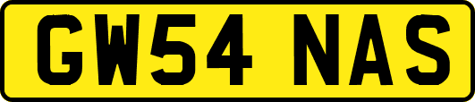 GW54NAS