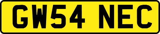 GW54NEC