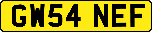 GW54NEF