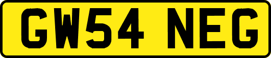 GW54NEG