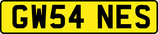 GW54NES