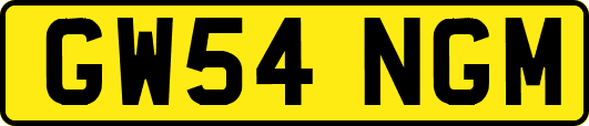 GW54NGM