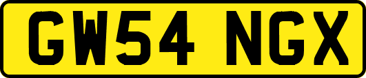 GW54NGX
