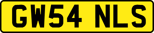 GW54NLS
