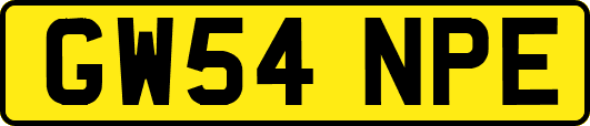 GW54NPE