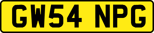 GW54NPG