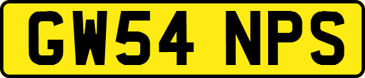 GW54NPS