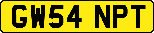 GW54NPT