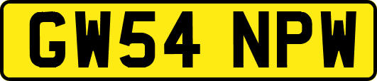 GW54NPW