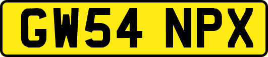 GW54NPX