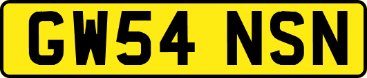 GW54NSN