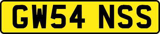 GW54NSS