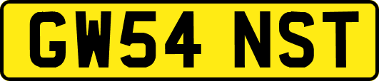 GW54NST